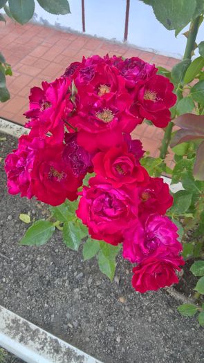 WP_20160724_17_14_25_Pro