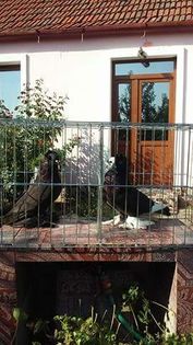 received_631013120407398