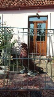 received_631006803741363