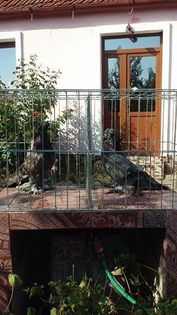 received_631006823741361