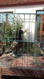 received_631006830408027