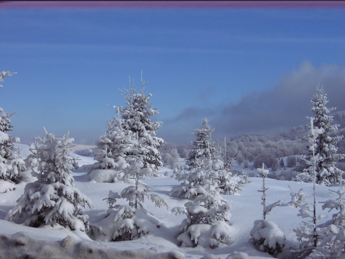  - Peisaje de iarna 2009 - 2010