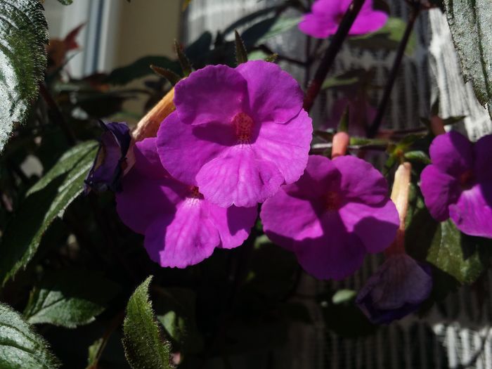 20160721_172140
