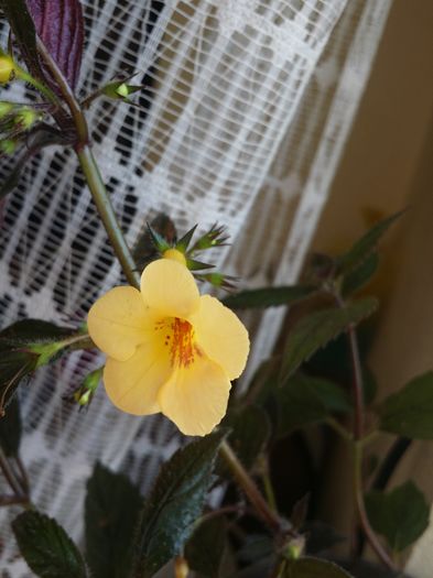 20160721_172456