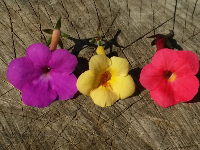 20160721_173358