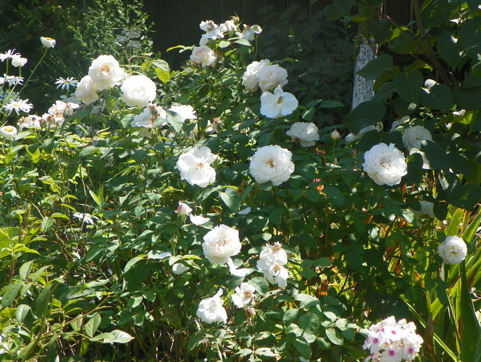 Winchester Cathedral