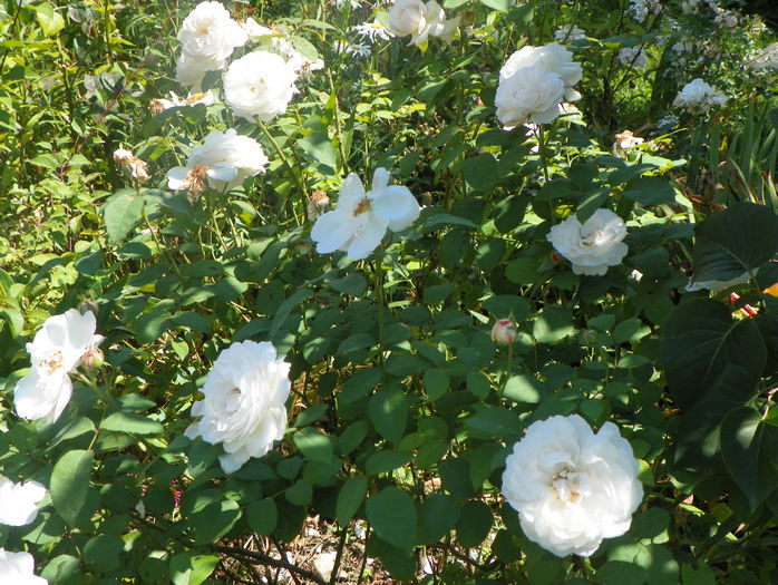 Winchester Cathedral