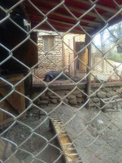 1469467268219501499440