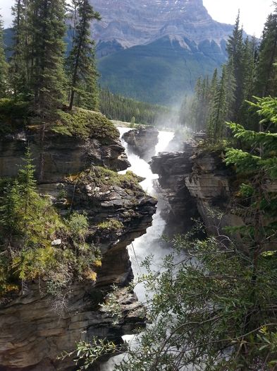 mm4_jasper_154_19072016_athabasca_falls - Jasper National Park
