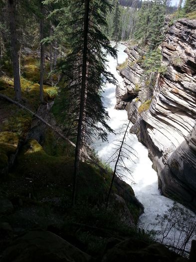 mm4_jasper_155_19072016_athabasca_falls - Jasper National Park