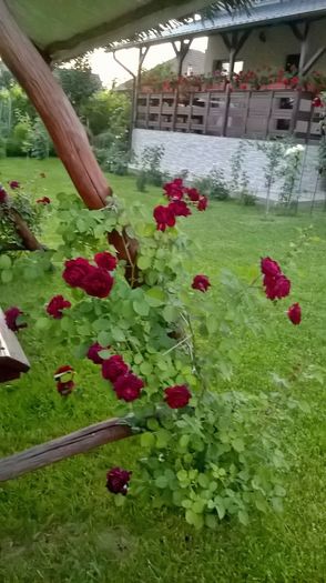 WP_20160721_21_22_39_Pro