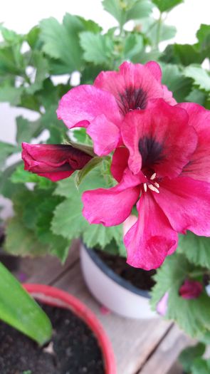 20160722_150527
