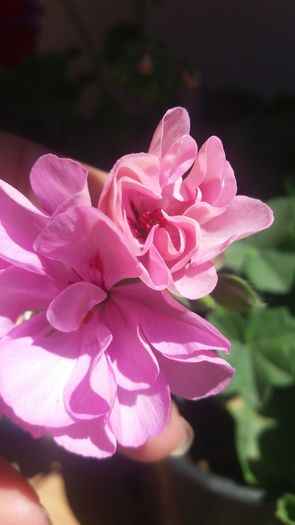 20160724_131201