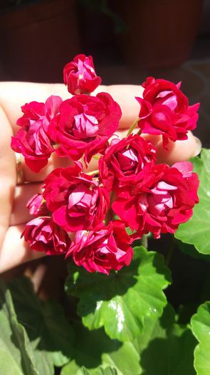 20160724_131505