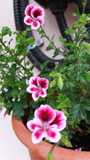 20160722_151049