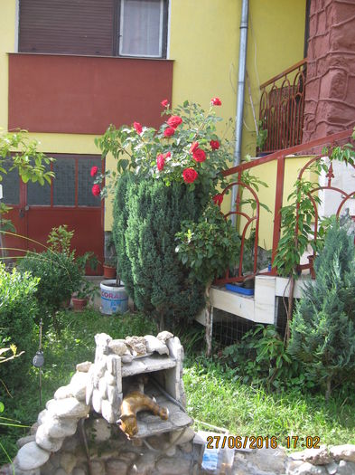 Picture 6574