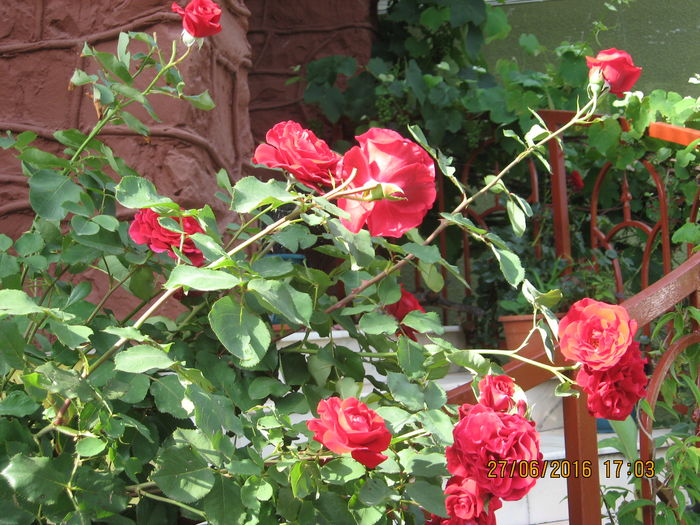 Picture 6577