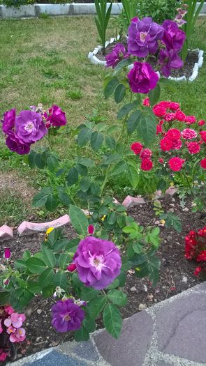 WP_20160726_20_39_08_Pro