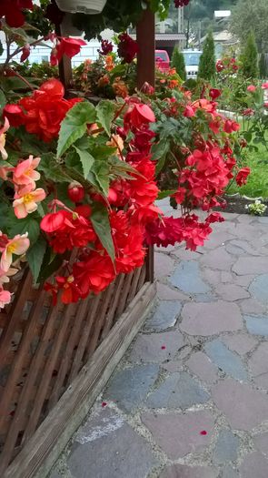 WP_20160726_20_38_21_Pro