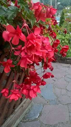 WP_20160726_20_38_26_Pro