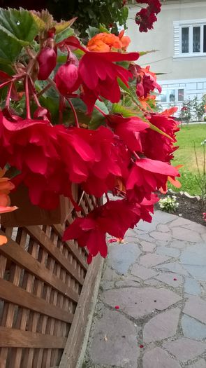 WP_20160726_20_38_34_Pro