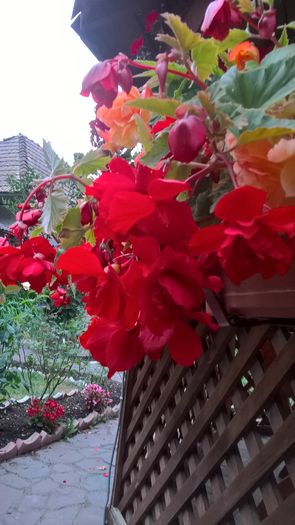 WP_20160726_20_38_06_Pro