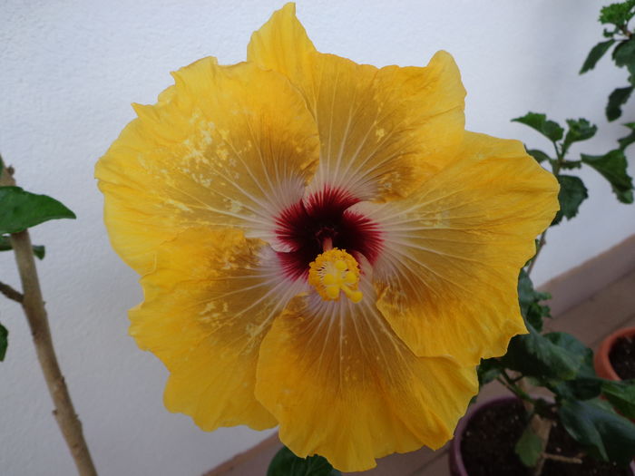 DSC05000