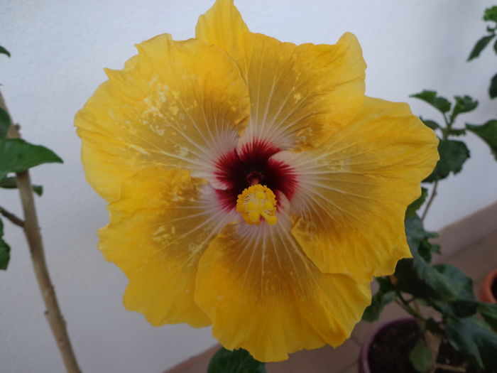 DSC04999
