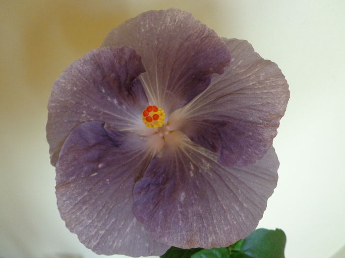 DSC04892