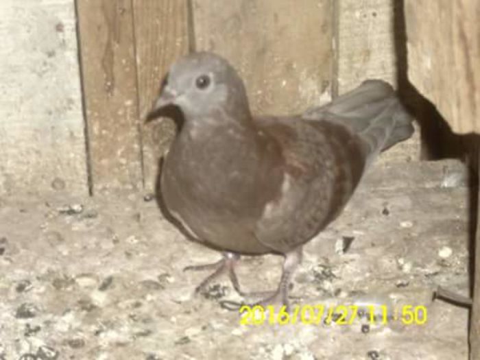 FB_IMG_1469617997869