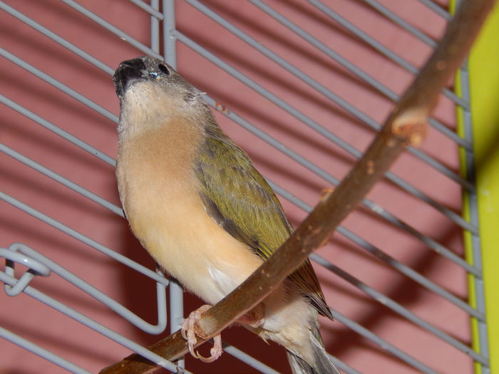 DSCN0760; Curaj ca este bine si aici..
