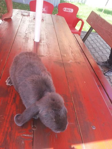 1 (4) - Pentru Pop Alexandru Iulian