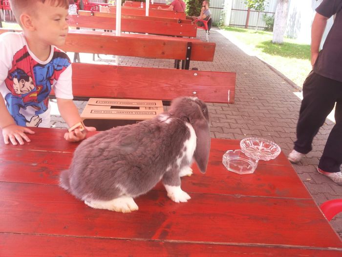 2 (1) - Pentru Pop Alexandru Iulian