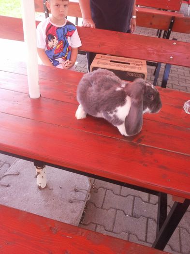 2 (2) - Pentru Pop Alexandru Iulian