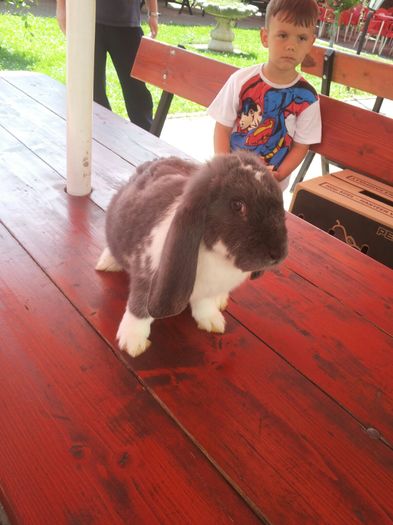 2 (5) - Pentru Pop Alexandru Iulian