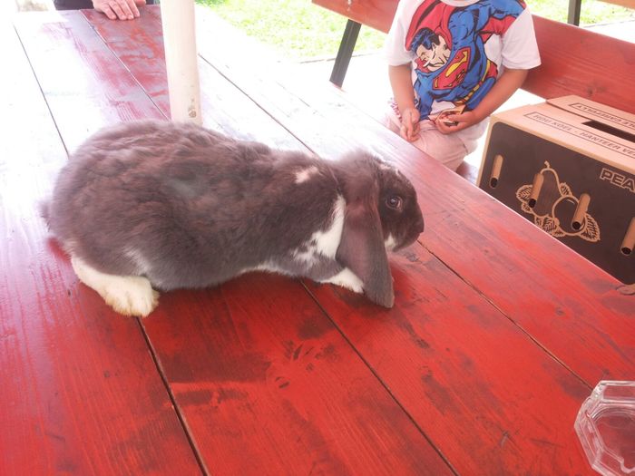 2 (8) - Pentru Pop Alexandru Iulian