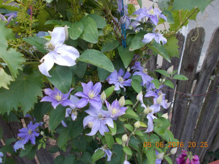 DSCN2789