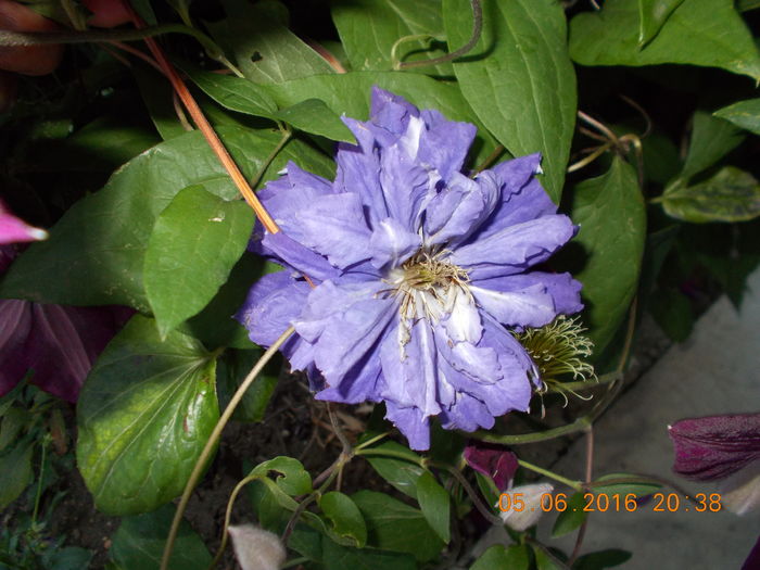 DSCN2823