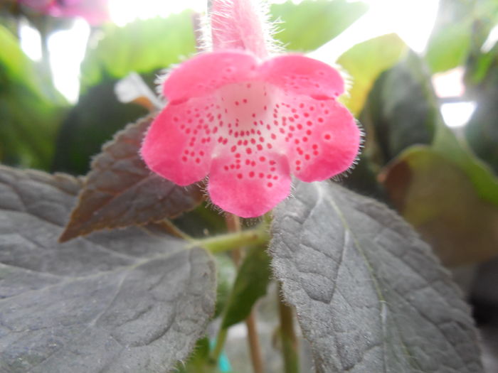 DSCN1144