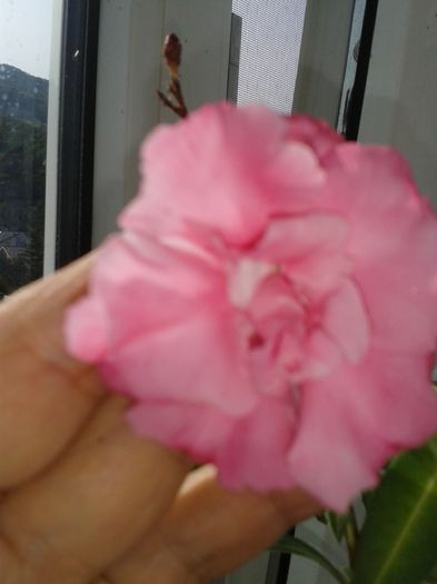20160726_172630