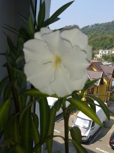 20160728_111555
