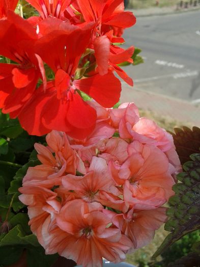 20160728_131425