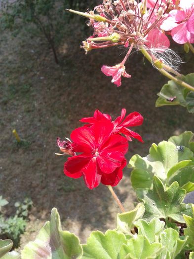 20160728_131457