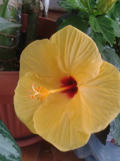 20160729_125136
