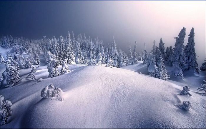 EKQDYRYOVIQGPVWPXLM[1] - peisaje de iarna