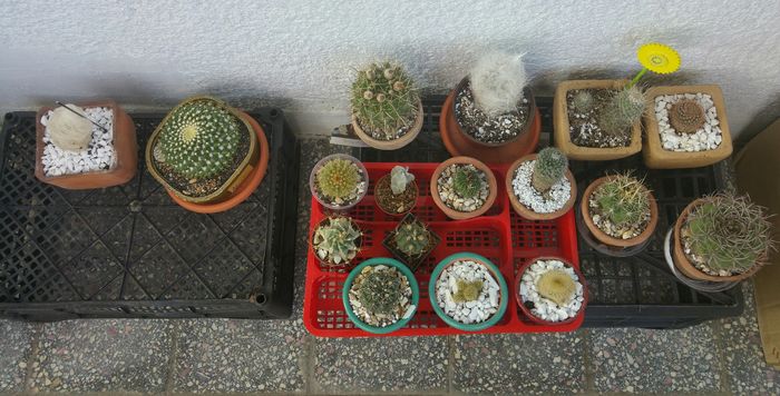 20160724_193420_HDR~2