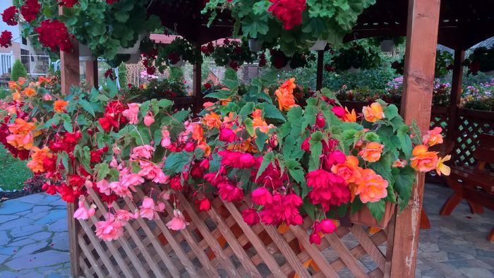 WP_20160730_20_43_44_Pro