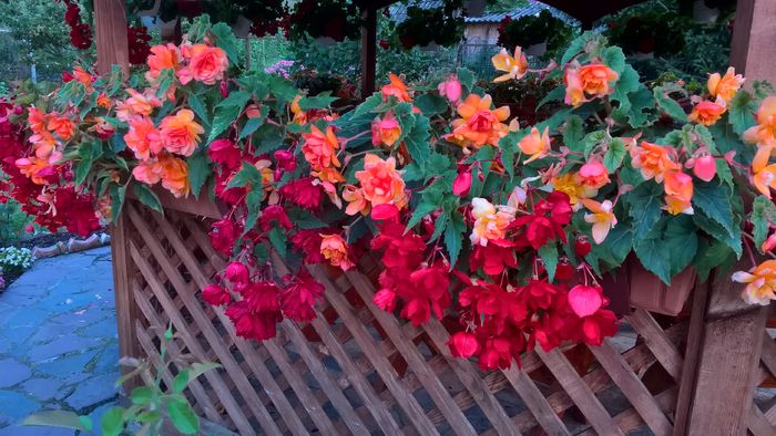 WP_20160730_20_44_18_Pro