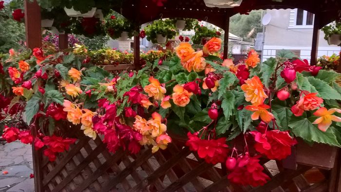 WP_20160730_20_44_45_Pro