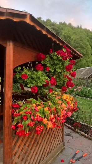 WP_20160730_20_43_55_Pro